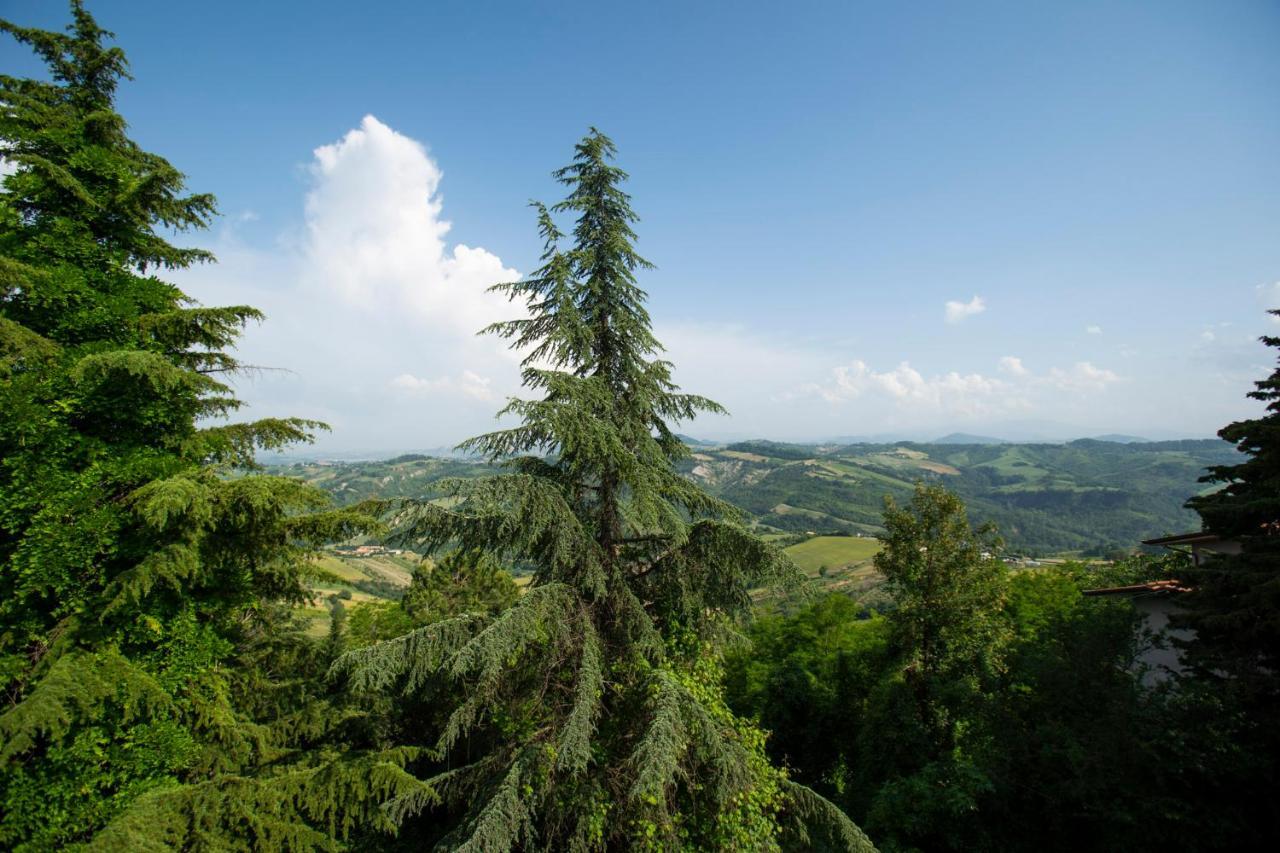 Il Giardino Dei Frati Bed & Breakfast Roncofreddo Exterior photo